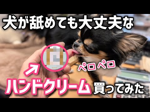 手荒れの季節！犬が舐めても大丈夫な【ハンドクリーム】買ってみた！＋ 人もチワワも一緒に食べられる【無添加おやつ】買ってみた！ の２選です。