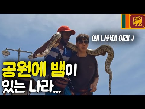 스리랑카 수도 콜롬보는 어떤지 봤더니...[스리랑카 ep.4]