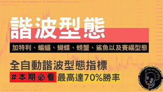 [本期必看] 勝率超過70%， 全網最強大諧波型態教學，加特利、蝙蝠、蝴蝶、螃蟹、鯊魚以及賽福型態通通一次搞定