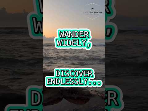 Wander widely, discover endlessly. #wander #discover #travel #traveling #sunset #nature #relaxing