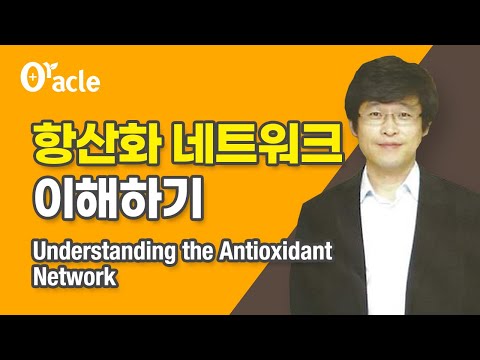 항산화 네트워크 이해하기(Understanding the Antioxidant Network)