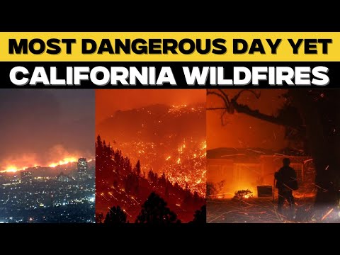 Los Angeles Fire Live Updates: 25 Lives Lost, Massive Infra Damaged, Horrific California Fire