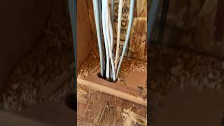 SMART HOME LOW VOLTAGE WIRING