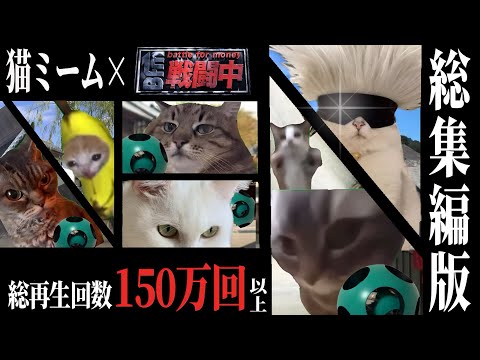 映画『猫ミーム戦闘中』総集編版【猫ミームアニメ】