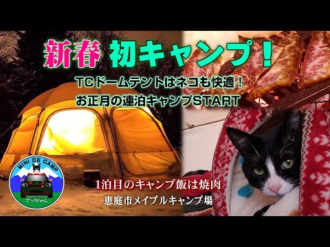 北海道冬キャンプ！ドームテントでお正月キャンプ！TOMOUNT TCドームテント DOME-EGGで猫と連泊キャンプ！1泊目