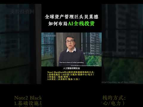 全球资产管理巨头贝莱德BlackRock 如何布局AI全方位投资 #美股