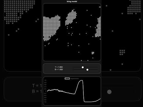 Phase Transition in 2D Ising Model #shorts #physics
