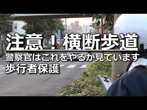 警察に捕まらず尊敬される！【横断歩道】の交通ルール