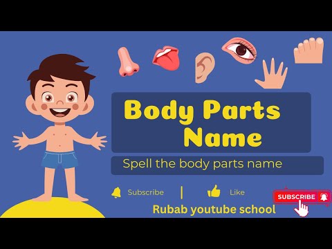 kids vocabulary || body parts||parts of the body||Learn english for kids || english education video