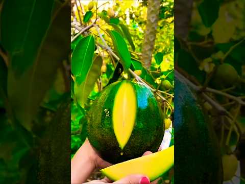 LETSGOGREEN Fruits | Fruit Cut | #status  #nature   #shorts #short #shortvideo #youtubeshorts