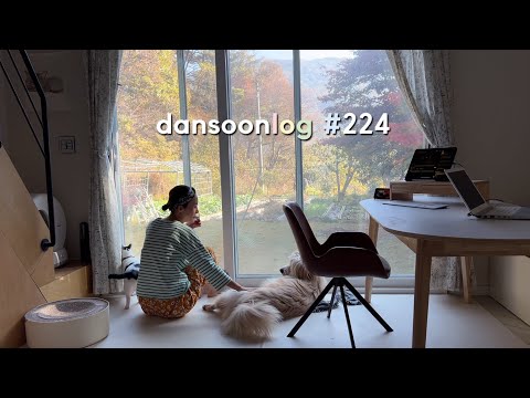 Korea's fall country life vlog 224) Shedding season