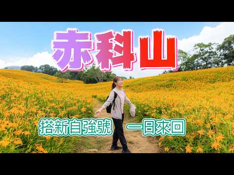 花蓮玉里『赤科山』租機車上去看到滿山滿谷的金針花