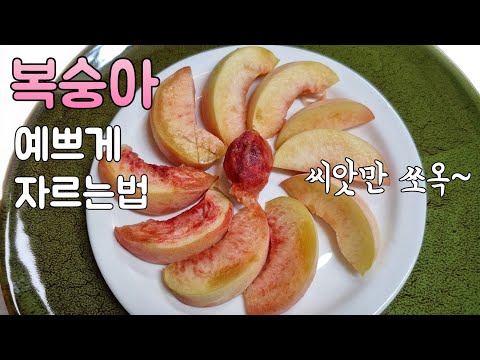 씨앗만 쏘옥~빠져요! 말랑복숭아 예쁘게 자르는 법