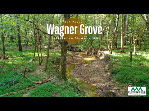 Wagner Grove | Beautiful Georgia Timberland