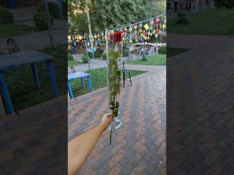 90 cents a rose Khujand, Tajikistan 타지키스탄 1300원 장미 🌹