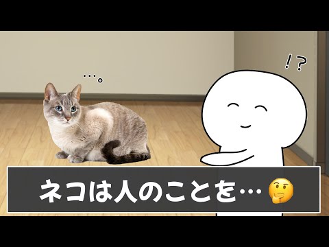 【衝撃】知らない方が良い雑学を調べたら後悔したｗｗ【ツッコミ】【#36】