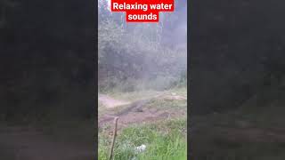 Relaxing water sounds for sleeping #watersoundsforsleeping #watersounds #relaxingstreams #forest