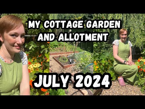 TOUR MY COTTAGE GARDEN AND ALLOTMENT AREA IN JULY 2024