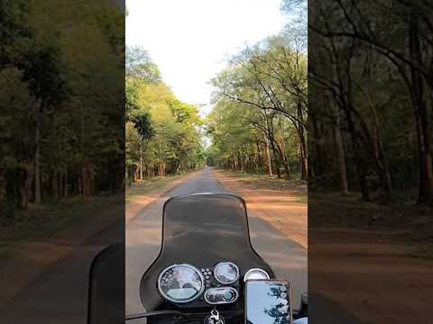 Raaste kuch kehte hain (Sitanadi Wildlife sanctuary)