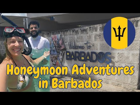 Honeymoon in Barbados VLOG - All Inclusive Vacation in Barbados