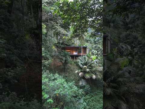 Tiny Home Jungle Villa w/ Waterfall & Beach! (60-Second Airbnb Tour)