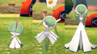 【ポケモン剣盾】サーナイトたちのかわいいシーン集【ポケモンソード・シールド】