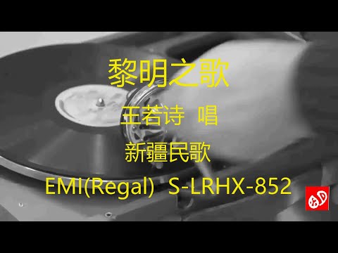 黎明之歌   -   王若诗