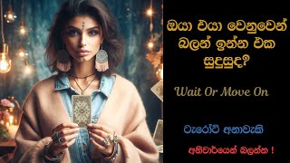 ඔයා එයා වෙනුවෙන් බලන් ඉන්න එක සුදුසුද? 😞 Should You Wait or Move on? 💫 Sinhala Tarot Predictions