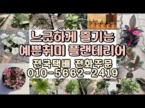 느긋하게 즐길 수 있는 예쁜취미 플랜테리어