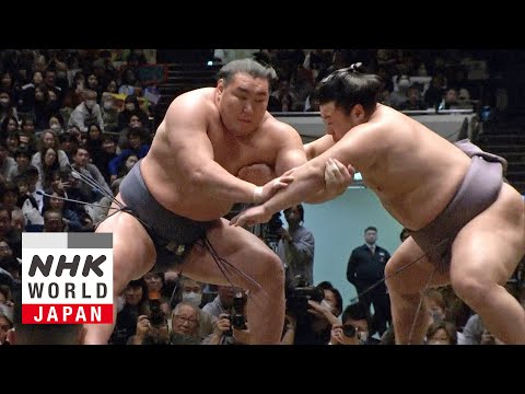 GRAND SUMO: Day 2 of the January 2025 Tournament - GRAND SUMO Highlights