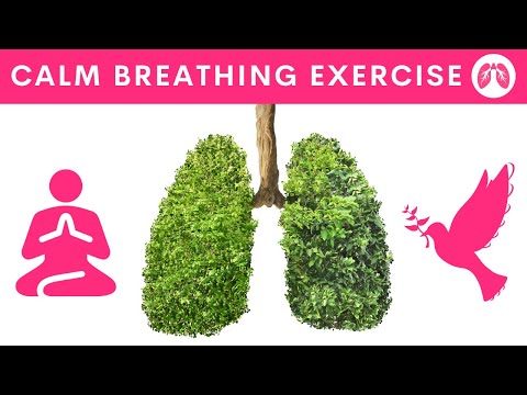 Breathing Exercises for Stress & Anxiety | How To Stop A Panic Attack | TAKE A DEEP BREATH