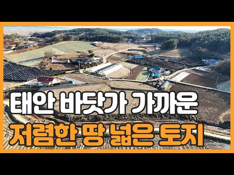 매물번호 786 【토지매매】 태안 바닷가 인접한 땅 넓은 토지매물 태안읍내 10분이내에 위치한 토지매매