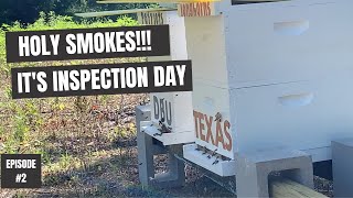 Beginner Beekeeping in Texas...Holy Smokes!!!  It's Inspection Day.....Episode 2