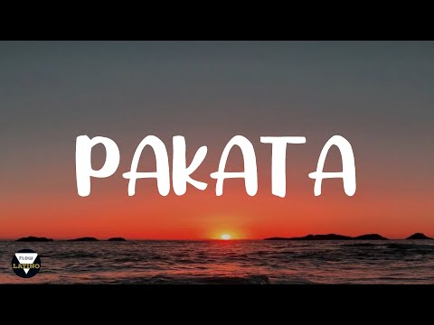 PAKATA - DAREL X EL ALFA EL JEFE (Letra/Lyrics)