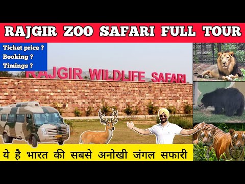 Rajgir zoo safari - rajgir zoo safari online ticket booking Rajgir zoo rajgir wildlife safari park