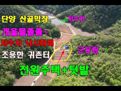 (단양산골막장 전원주택과 텃밭)아무도 없고 개울물도 흐르며 저수지조망 뒤산 국유림 남향의 양지바른곳/단양전원주택/단양부동산/단양토지