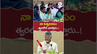 నా విశ్వరూపం త్వరలోనే చూస్తారు..! | #chandrababu | #ysjagan | #appolitics | #shorts | #trending