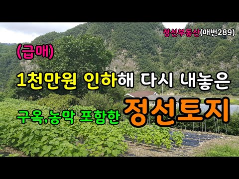 (급매) 1천만원을 인하해 다시 내놓는 구옥과 농막포함 정선토지 매매 / 정선토지박사