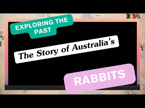 🐇 Exploring the Past: The Story of Australia’s Rabbits 🇦🇺