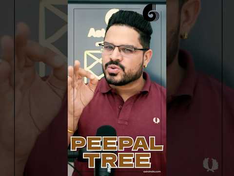 Peepal Tree Vastu: Pitra Dosha Remedies