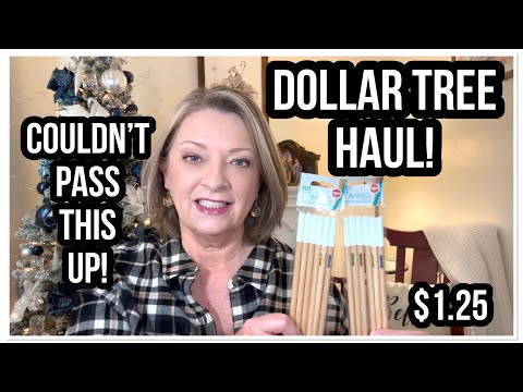 DOLLAR TREE HAUL | COULDN’T PASS THIS UP | | NEW FINDS | LOVE DT😁 #haul #dollartree #dollartreehaul