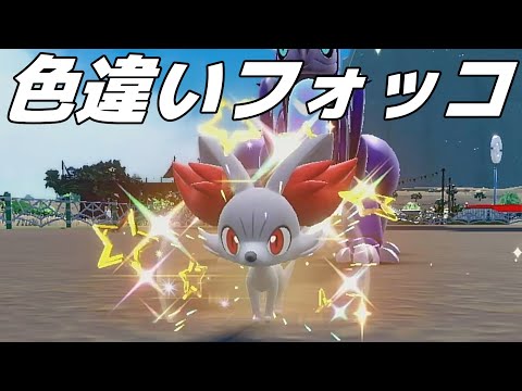 色違いフォッコ捕まえてみた！【ポケモンSV】【ゆっくり実況】#ゆっくり実況 #ポケモンsv #色違い