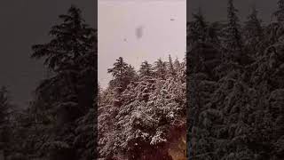 Snowfall in hills