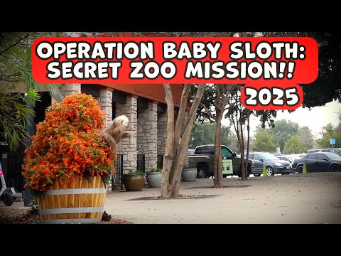 Bushman Prank: The Return of Baby Sloth 2025!!