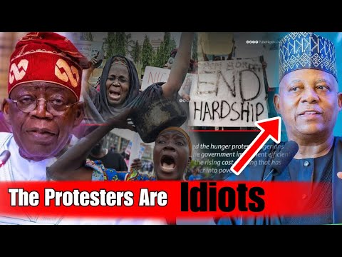 Protesters Slams Shetima ! Why Nigerians Are Protesting Today ! Untold Truth