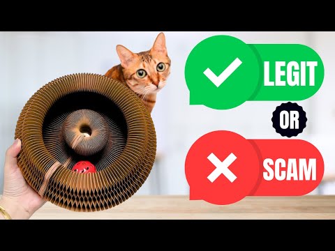 Kitty Kurlz Cat Toy Review - Legit or Scam?