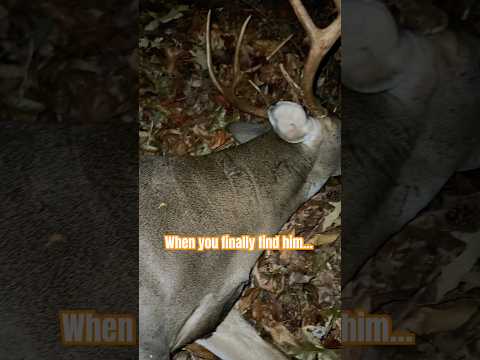 When you finally find your buck [yeah, it's kinda like that!] | N1 Outdoors