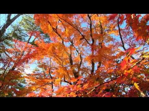 Yamazaki-yama Hill