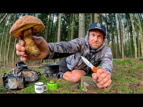 2 Days Alone In a Forest - EATING ONLY WHAT I FIND - Fishing & Foraging For Food