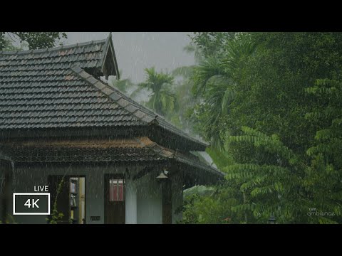 Cure Insomnia in 5 Minutes with Beautiful Rain Walks | ASMR Rain Walks  Compilation for Deep Sleep